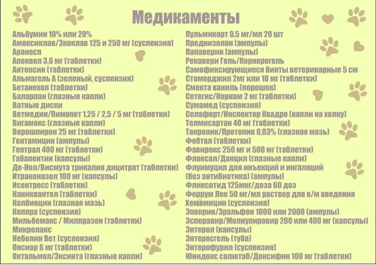 🐾«ДоброЛап»  Завершим учебный год добрыми делами и сделаем мир для четвероногих друзей лучше!  🐶🐈‍⬛Д