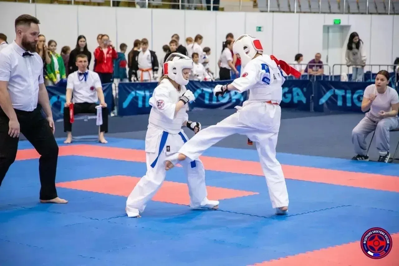 🥋 Бороздина Ксения (3«Д») — чемпионка Кубка Коломенского Кремля!  На фестивале «Кубок Коломенского К
