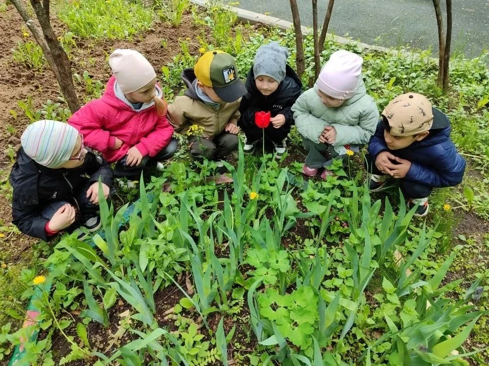 🌿 «Весенняя тропа»: терренкур, который объединил движение и открытия  На этой неделе наши дошколята 