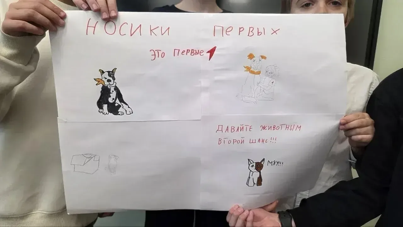 🐾 Наши активисты — за ответственное отношение к животным!   ❤️В рамках Всероссийской акции «Носики П