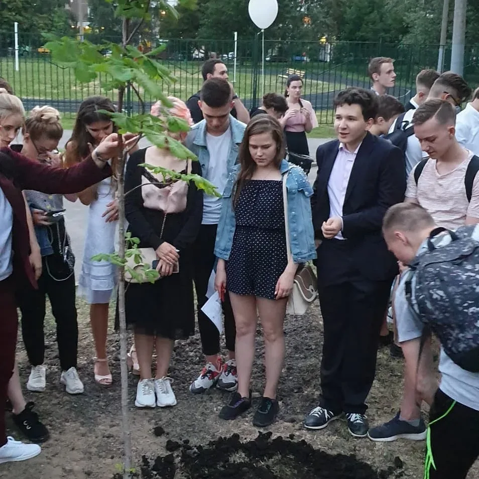 🌿 А при чём тут каштан?  ☺️На самом деле, всё просто: в этом году впервые зацвели каштаны, которые п