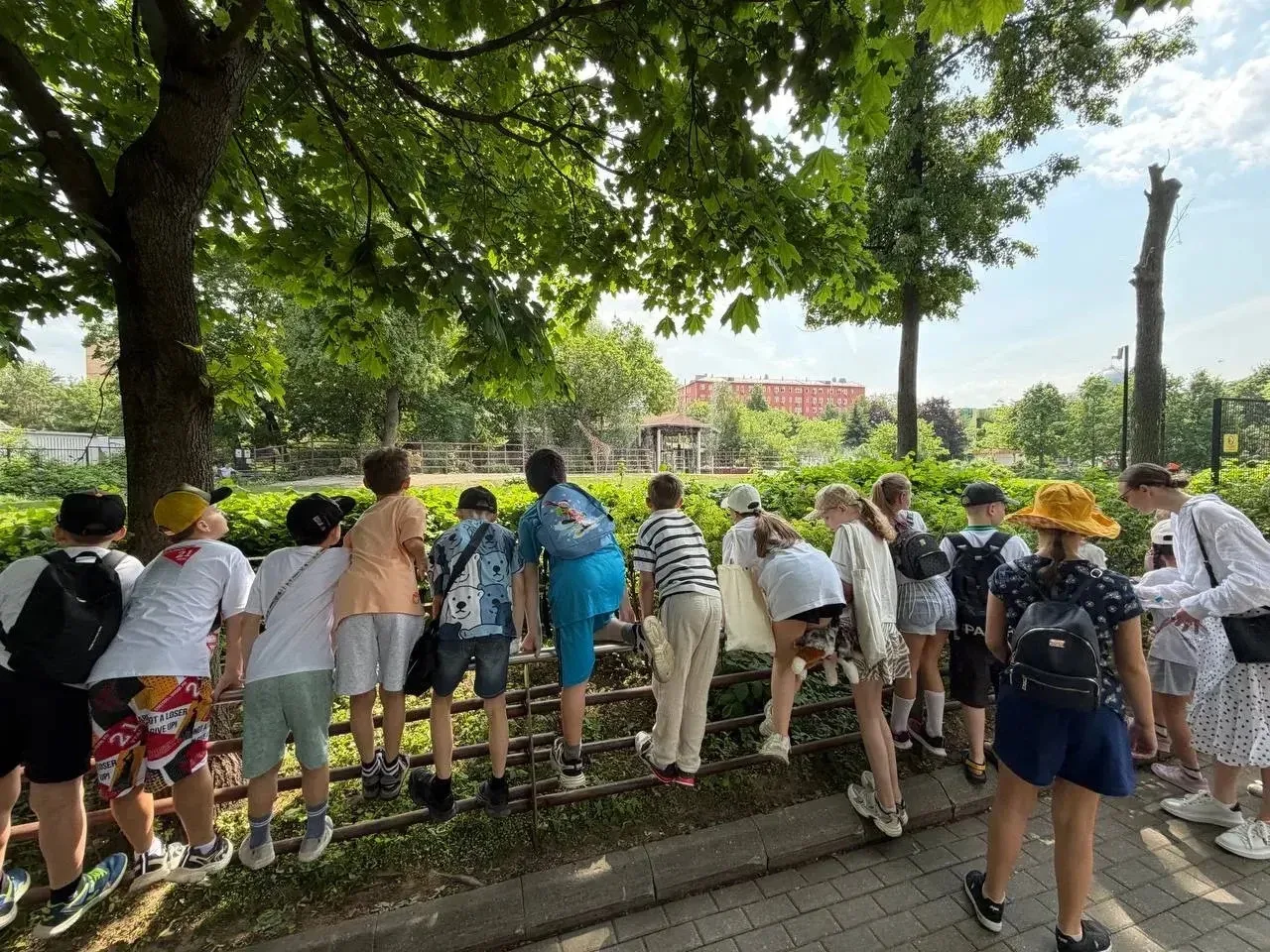 В гости к пушистикам 🥰  🔝 Завершить учебный год прогулкой в Зоопарке — отличная идея!  👣 Вчера наши 