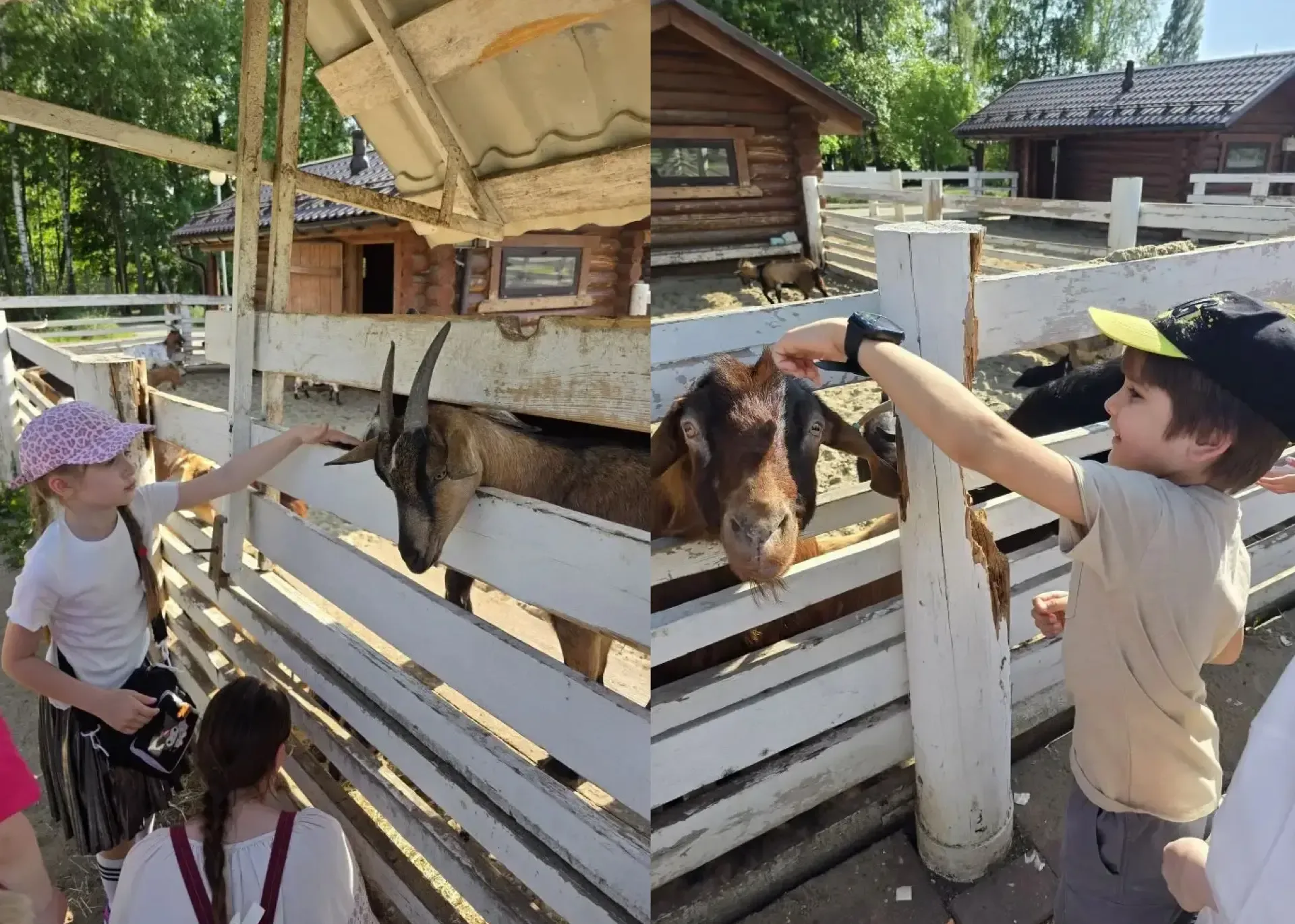На связи наши второклассники!☀️Ребята передают привет и рассказывают, как ярко завершился их учебный