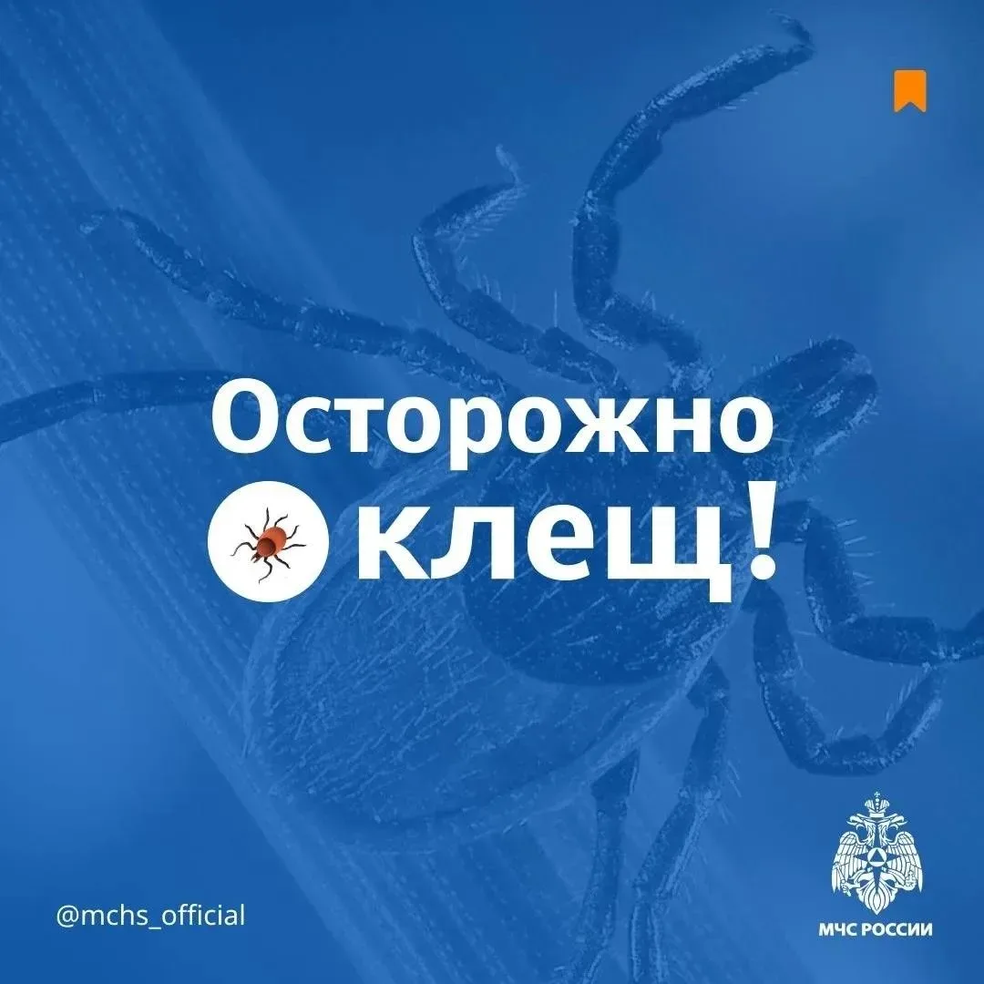 ❗Осторожно! Клещ!  Защитись от клеща по советам МЧС России:   ⭕ заправь штаны в носки. Социальная по