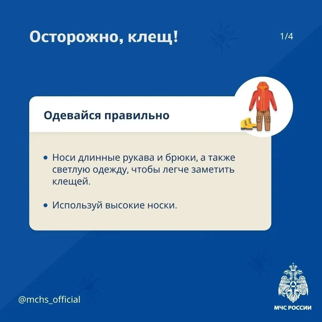 ❗Осторожно! Клещ!  Защитись от клеща по советам МЧС России:   ⭕ заправь штаны в носки. Социальная по