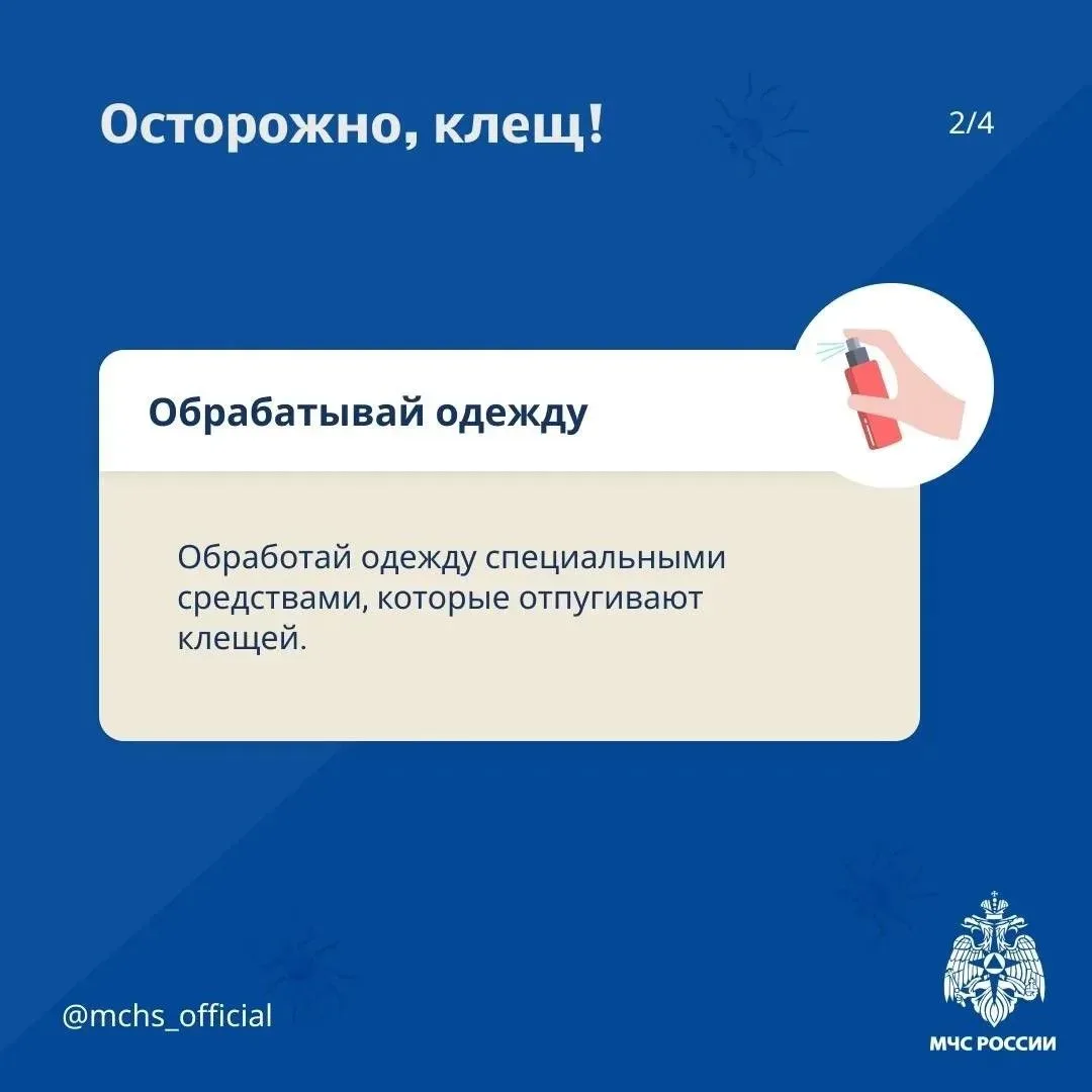 ❗Осторожно! Клещ!  Защитись от клеща по советам МЧС России:   ⭕ заправь штаны в носки. Социальная по