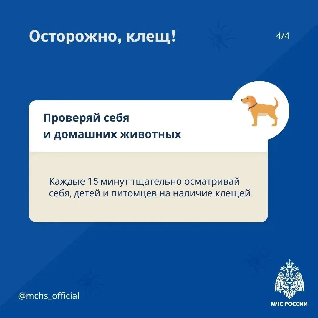 ❗Осторожно! Клещ!  Защитись от клеща по советам МЧС России:   ⭕ заправь штаны в носки. Социальная по