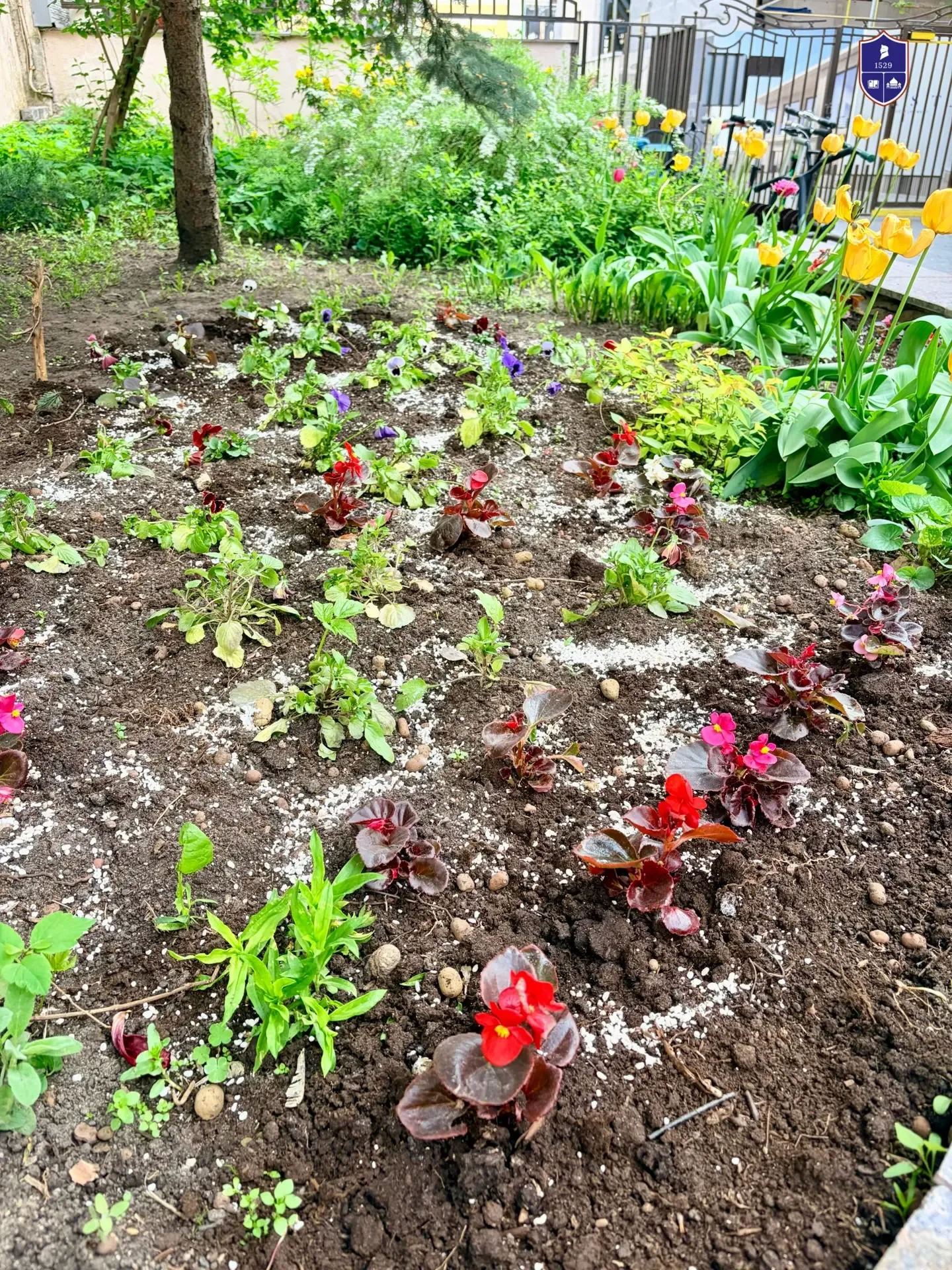 Создаем весеннее настроение 🌸  Корпус в Обыденском переулке — это не просто стены и парты. Это наш о