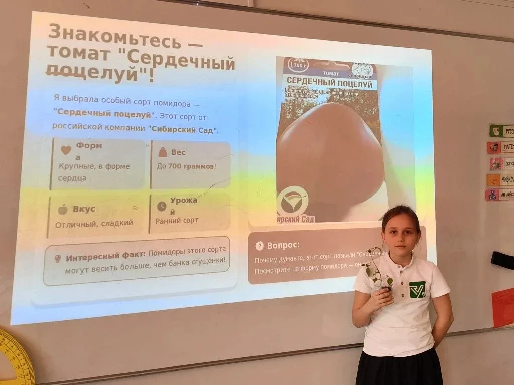Первые шаги в науку: 3Б представляет «Томатный эксперимент»!   🚀В рамках флагманского проекта «Нейро