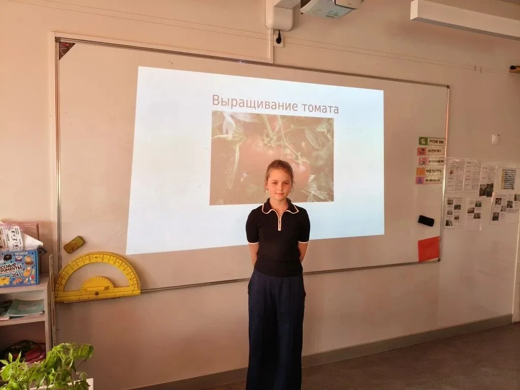 Первые шаги в науку: 3Б представляет «Томатный эксперимент»!   🚀В рамках флагманского проекта «Нейро