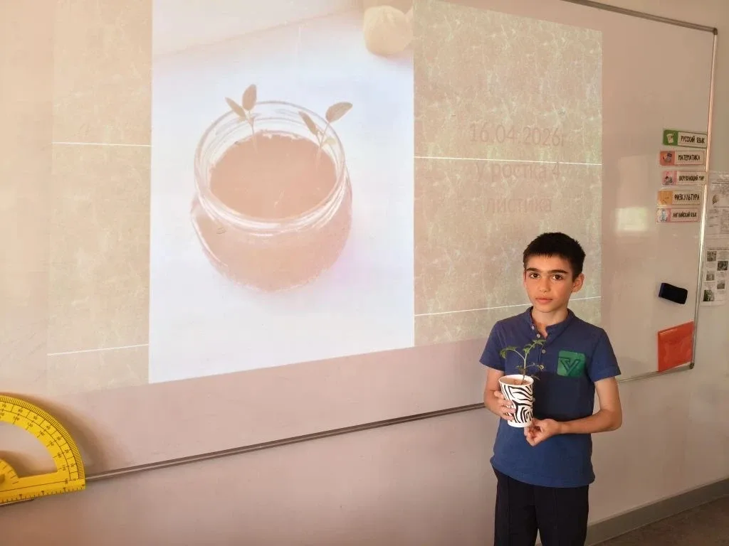 Первые шаги в науку: 3Б представляет «Томатный эксперимент»!   🚀В рамках флагманского проекта «Нейро