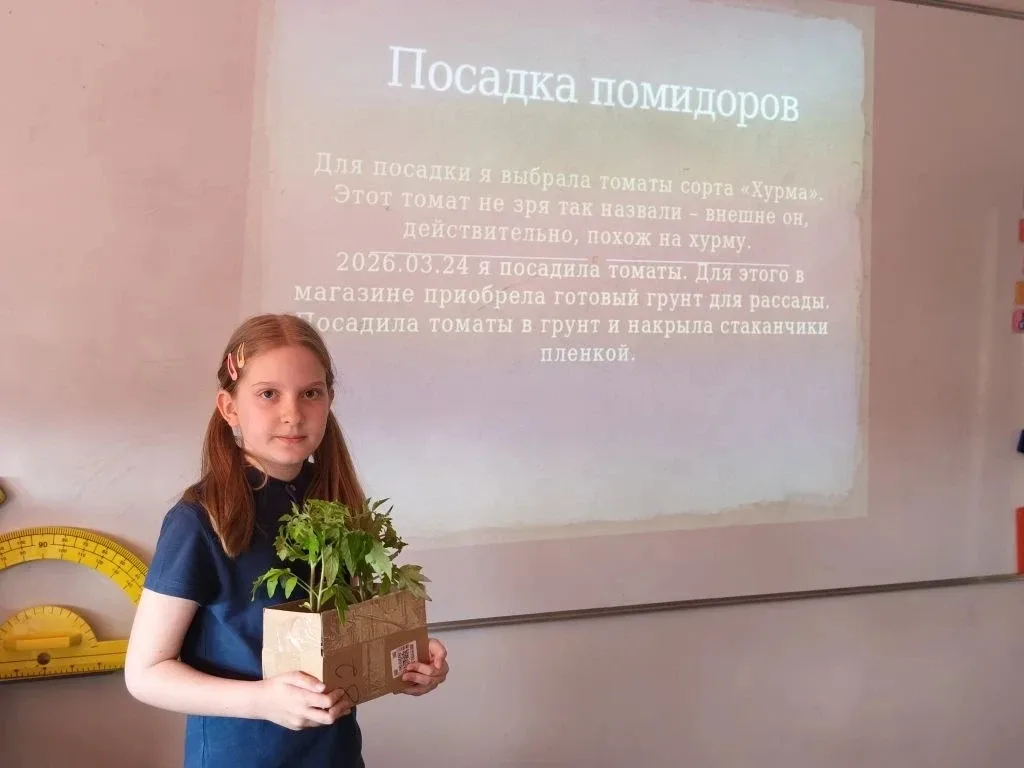 Первые шаги в науку: 3Б представляет «Томатный эксперимент»!   🚀В рамках флагманского проекта «Нейро
