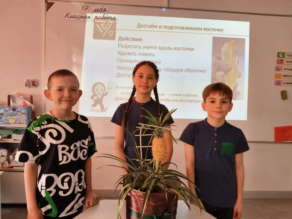 3Б завершает учебный год… экзотическим взрывом! 🌴🚀Два этапа защиты позади.   Мы выращивали томаты, п