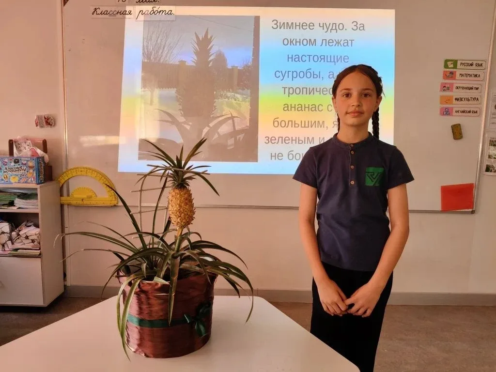 3Б завершает учебный год… экзотическим взрывом! 🌴🚀Два этапа защиты позади.   Мы выращивали томаты, п