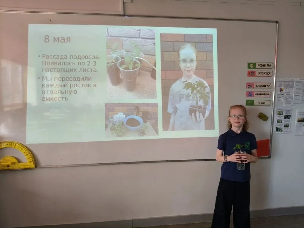 🍅 «НейроВитамины» в действии: 3Б класс защищает свой урожай!  🌱🧠Второй этап — и эмоций снова через к