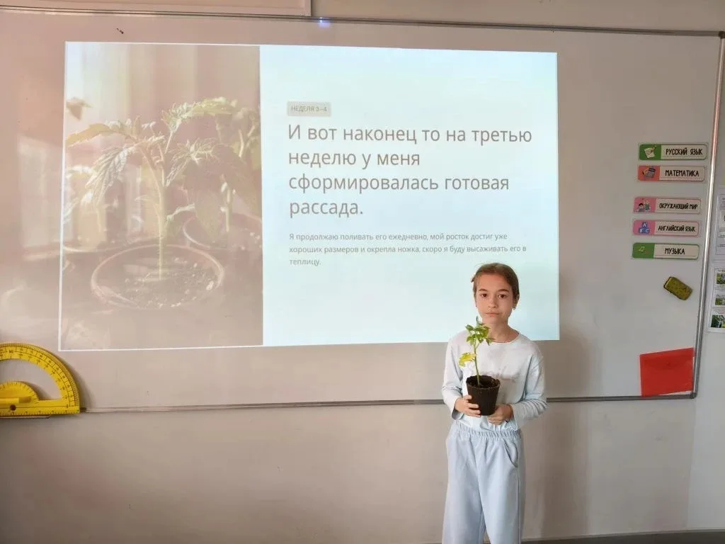 🍅 «НейроВитамины» в действии: 3Б класс защищает свой урожай!  🌱🧠Второй этап — и эмоций снова через к