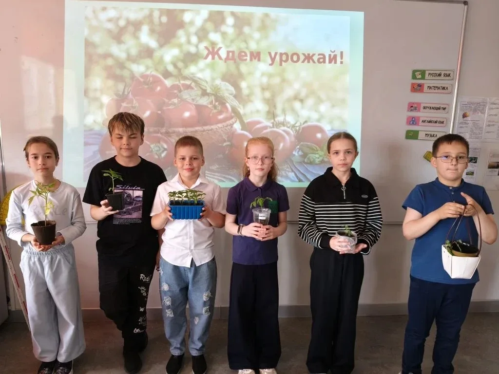 🍅 «НейроВитамины» в действии: 3Б класс защищает свой урожай!  🌱🧠Второй этап — и эмоций снова через к