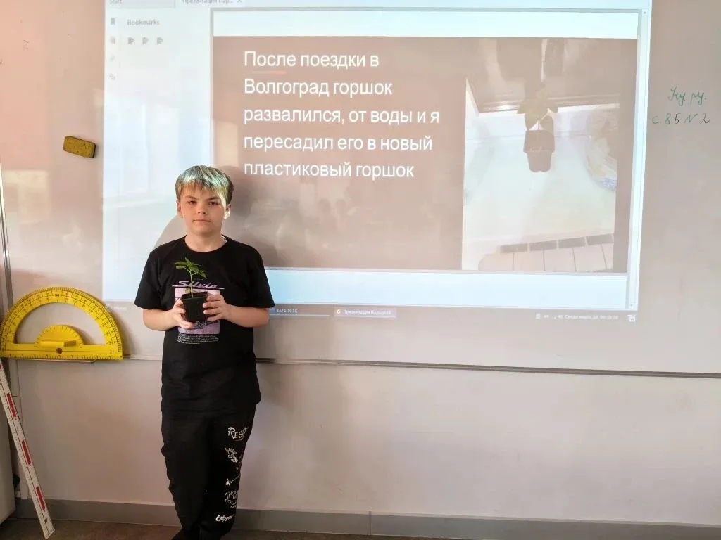 🍅 «НейроВитамины» в действии: 3Б класс защищает свой урожай!  🌱🧠Второй этап — и эмоций снова через к