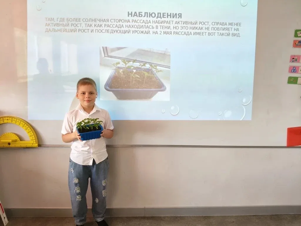 🍅 «НейроВитамины» в действии: 3Б класс защищает свой урожай!  🌱🧠Второй этап — и эмоций снова через к