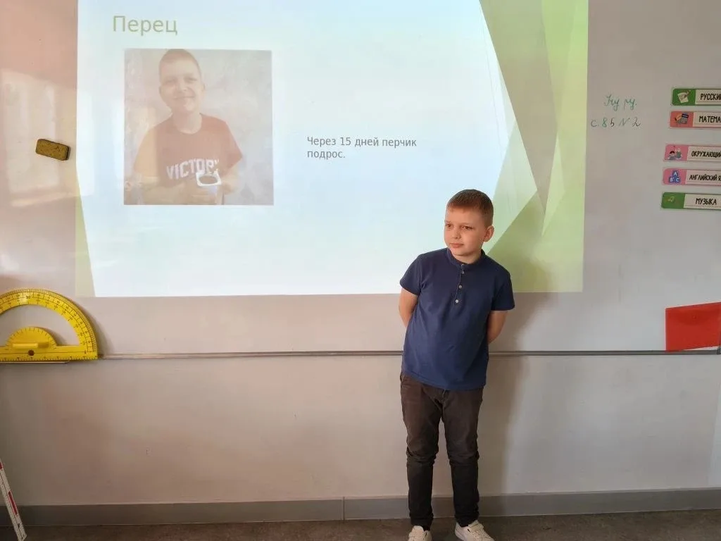 🍅 «НейроВитамины» в действии: 3Б класс защищает свой урожай!  🌱🧠Второй этап — и эмоций снова через к