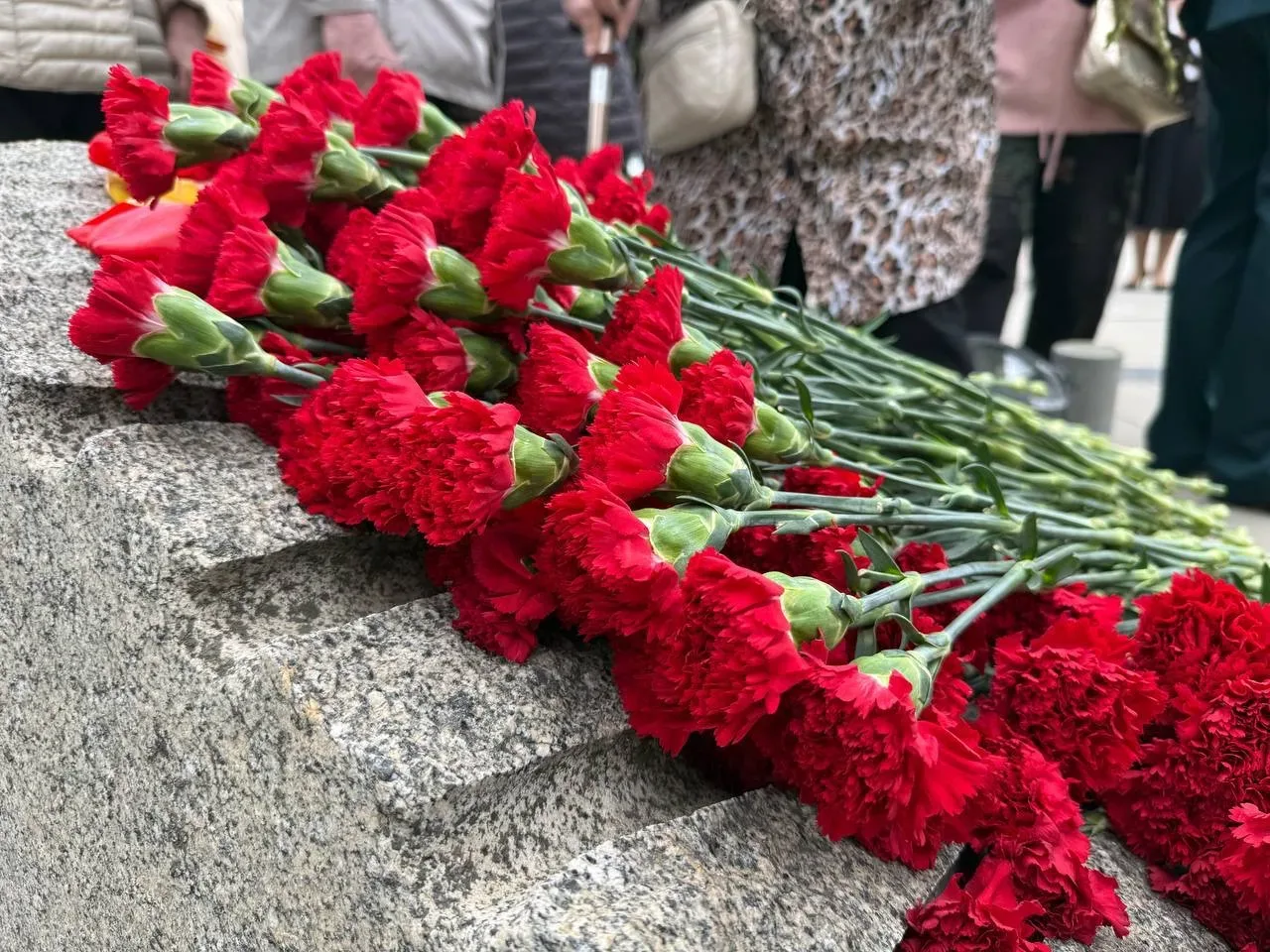 В преддверии Дня Победы у памятника Герою Советского Союза Николаю Гастелло прошла вахта памяти  В т