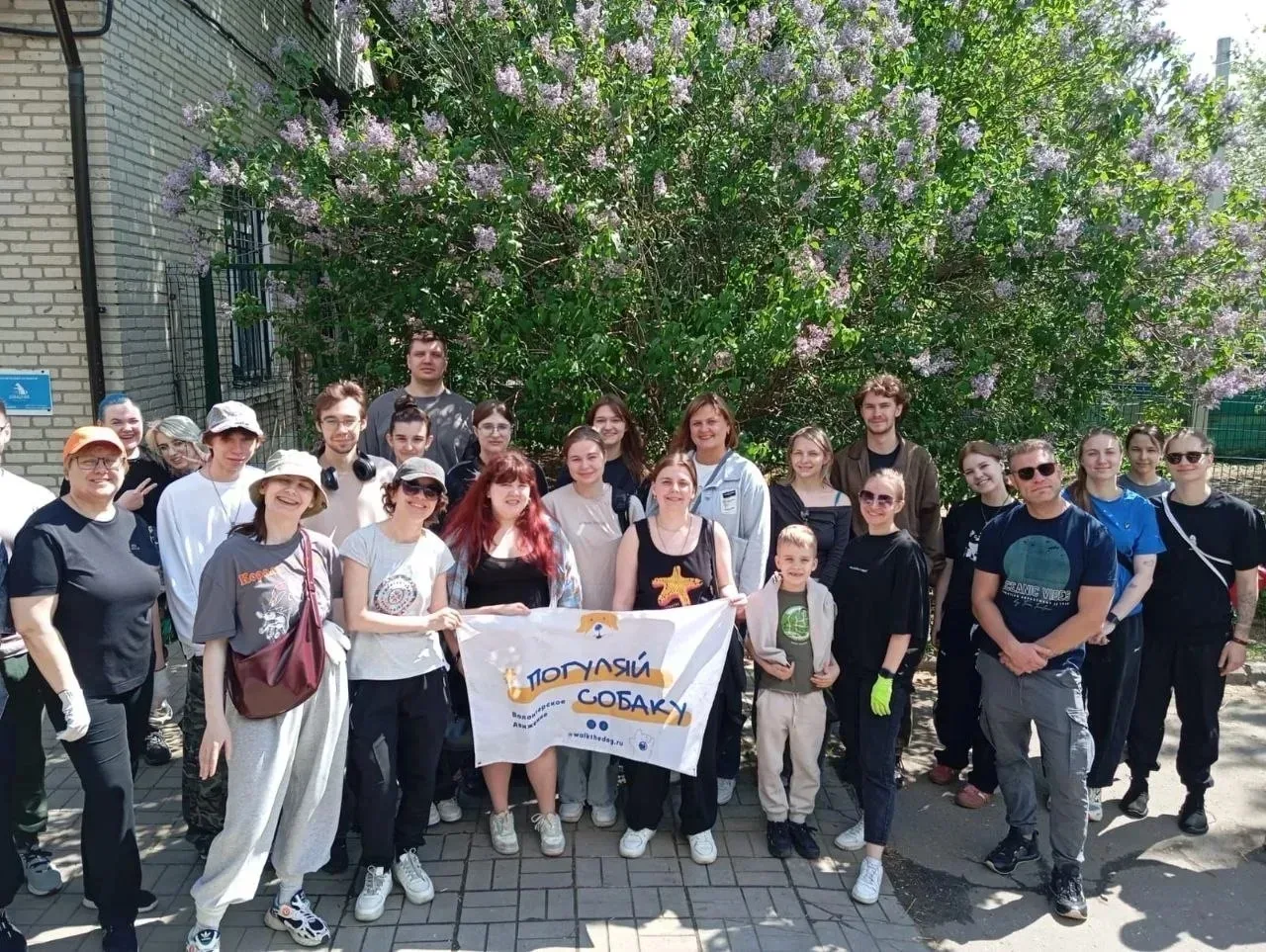 Волонтеры ДоброМед дарят заботу приюту «Домашний»  Волонтерский отряд ДоброМед с радостью принял уча