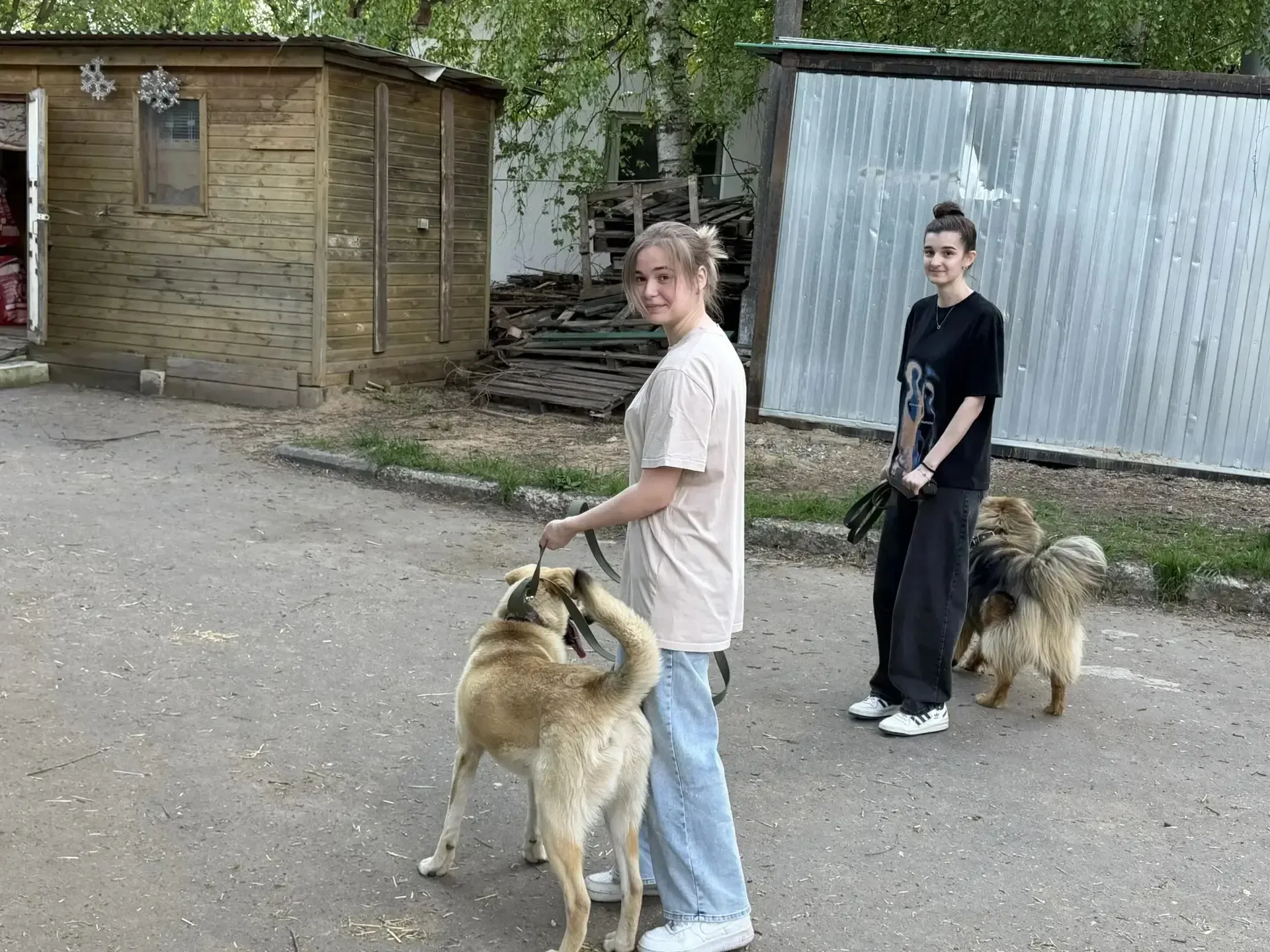 Волонтеры ДоброМед дарят заботу приюту «Домашний»  Волонтерский отряд ДоброМед с радостью принял уча