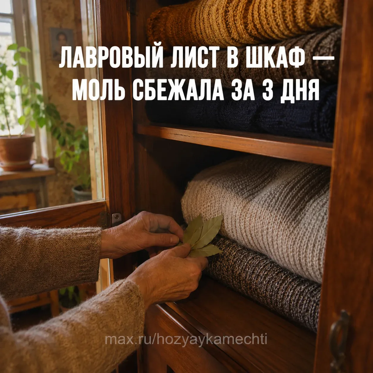 ЛАВРОВЫЙ ЛИСТ В ШКАФ — ЗАЧЕМ МОЯ СВЕКРОВЬ ДЕЛАЕТ ЭТО 30 ЛЕТ. Я ПРОВЕРИЛА И ОФИГЕЛА  Думала, бабушкин