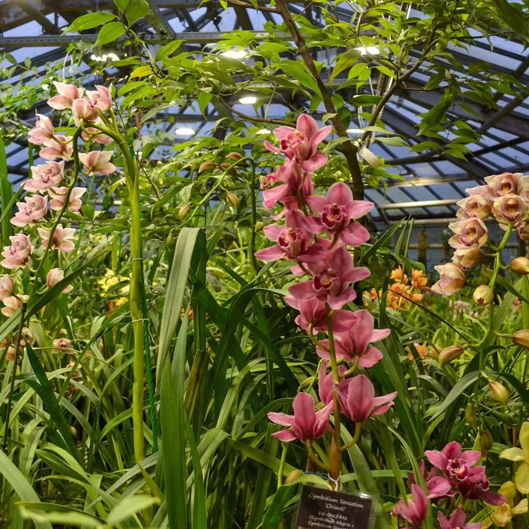 ЗЕЛЁНЫЙ РАЙ В СЕРДЦЕ МОСКВЫ 🌿 Рубрика «Семейный компас: Москва» снова с вами! 🧭 Сегодня мама нашего 