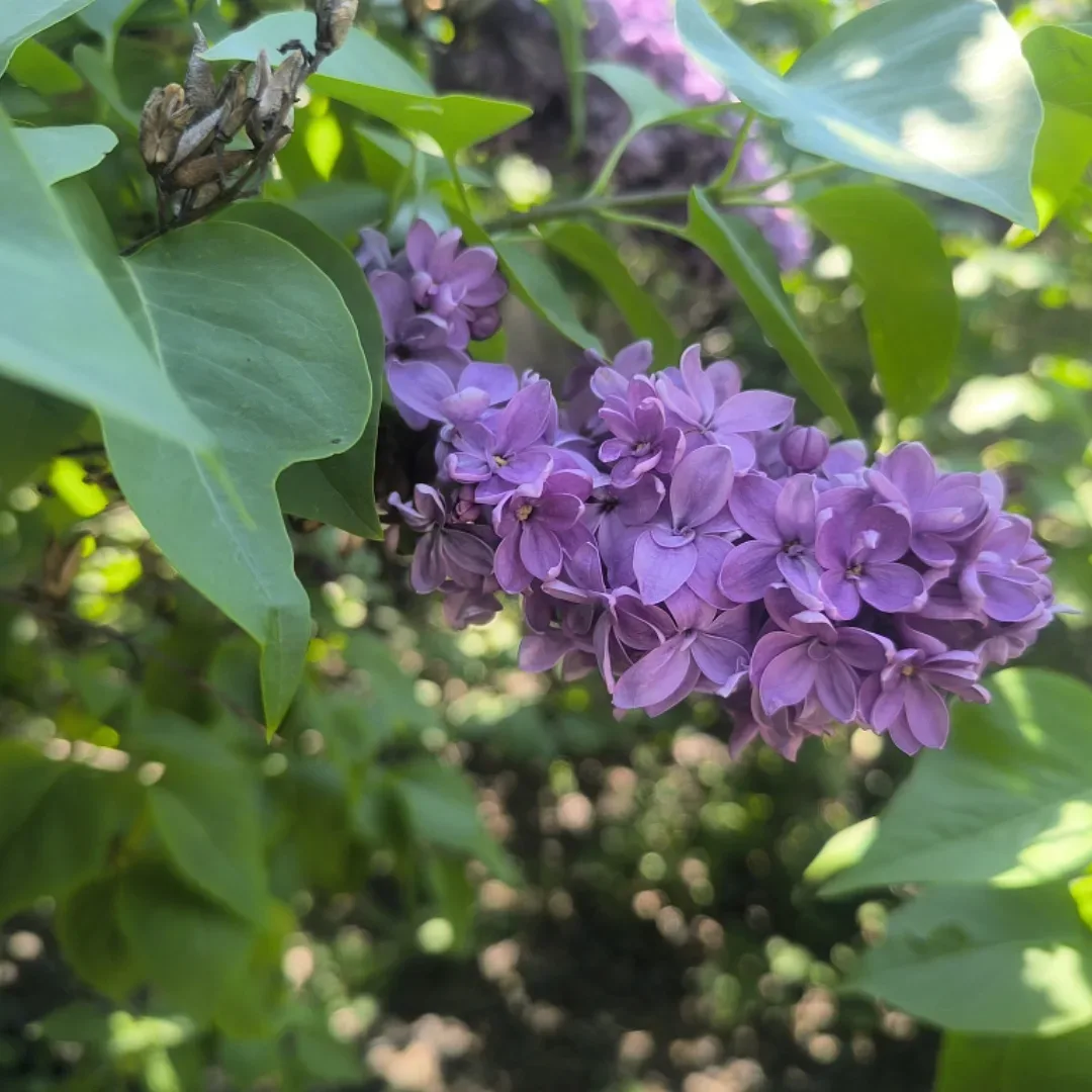 ЗЕЛЁНЫЙ РАЙ В СЕРДЦЕ МОСКВЫ 🌿 Рубрика «Семейный компас: Москва» снова с вами! 🧭 Сегодня мама нашего 