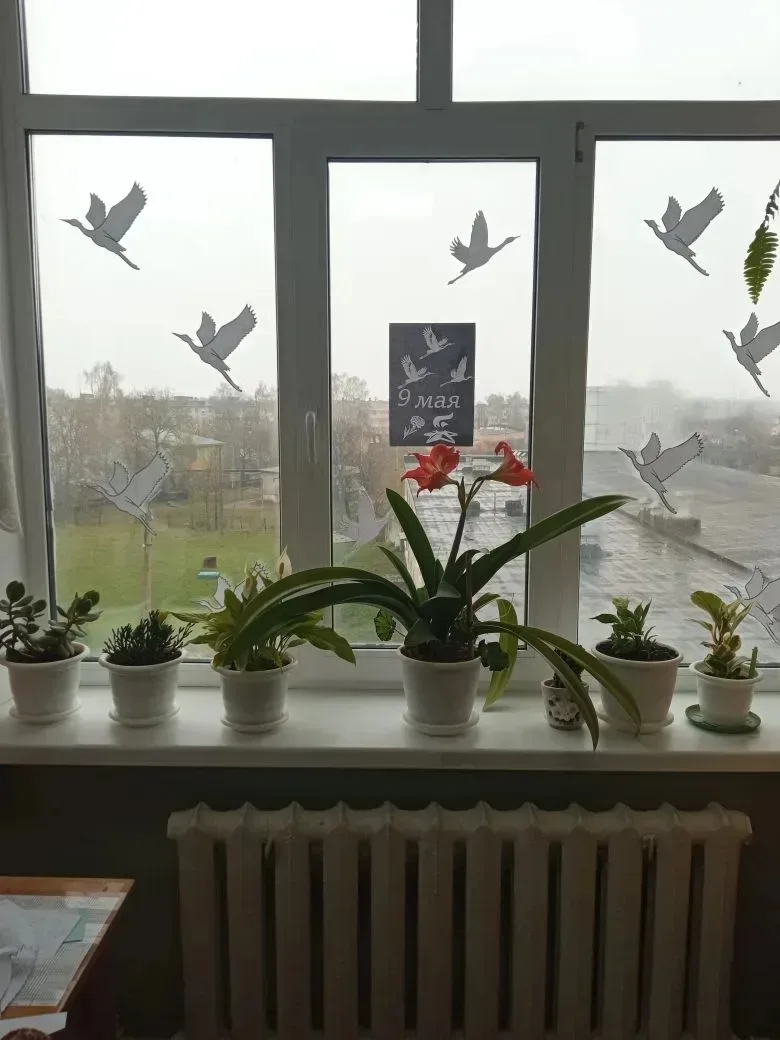 ОКНА ПОБЕДЫ!!! 🎗️🌿🕊️⭐🔥🎖️🇷🇺 🔸"Окна Победы" - это Всероссийская акция, народный проект! 🔸Участники укр