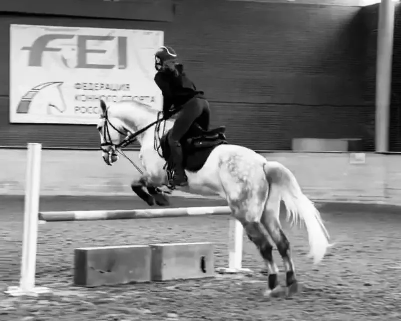 🐎  КОНКУР: ИСТОРИЯ СОНИ, КОТОРАЯ НЕ УМЕЕТ ПРОИГРЫВАТЬ  В 7 утра в воскресенье большинство подростков