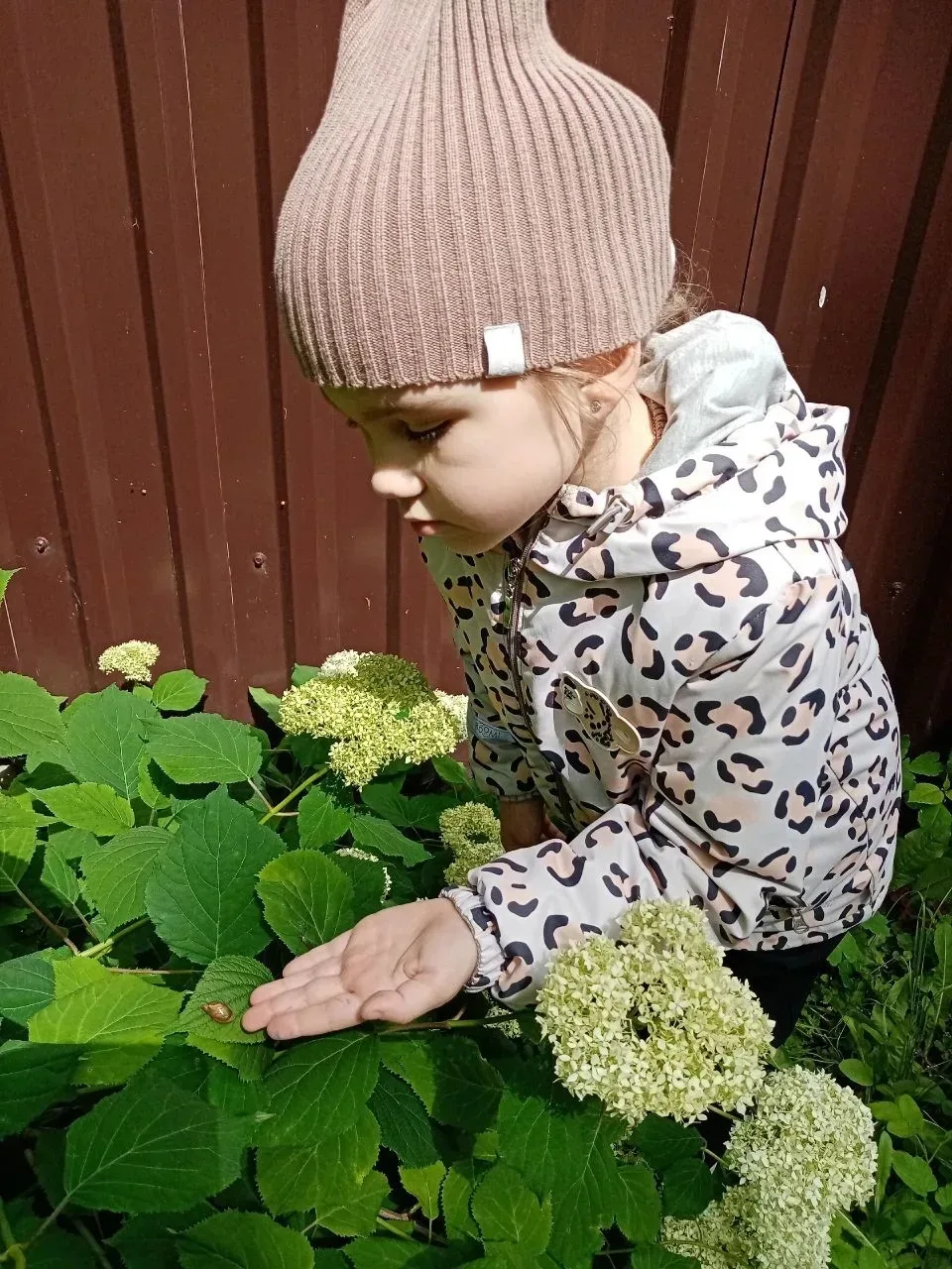 🐝 В группе «Пчёлки» прошёл экологический трек «Орлёнок — Эколог»!  В подготовительной к школе группе