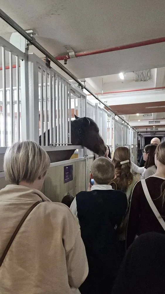 Время с пользой 👍  ​🎪 Недавно ученики 6Л класса побывали за кулисами Московского цирка. Им было очен