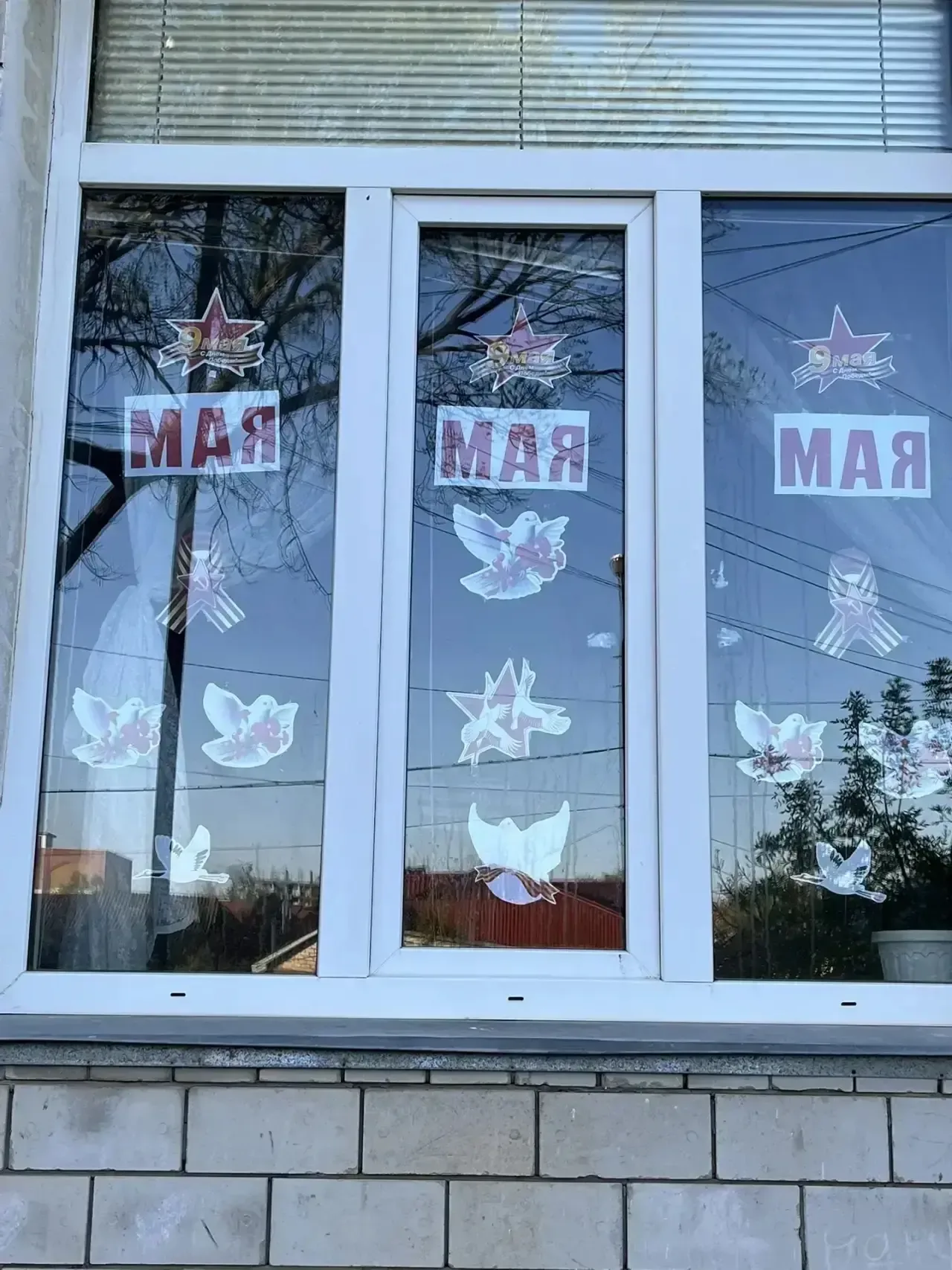 💫 МКОУ «СОШ 1» с гордостью присоединяется к всероссийской акции «Окна Победы»!  🕊️ В преддверии вели