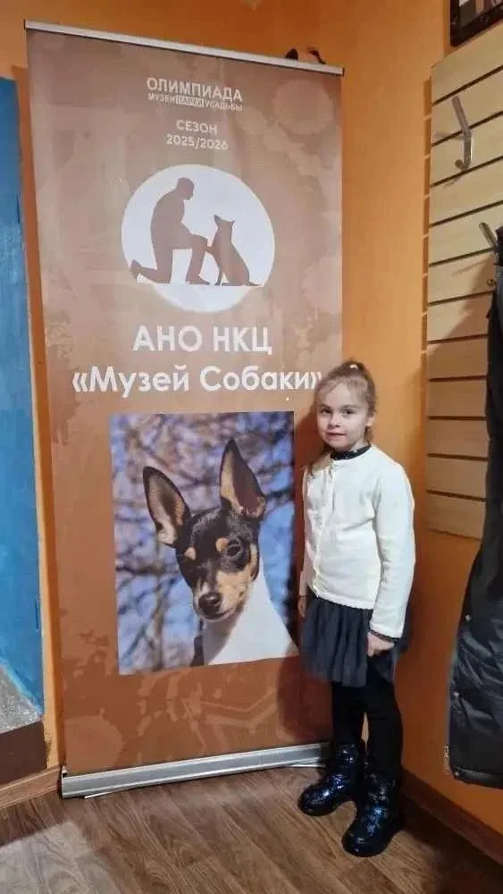 🏛🏆Наш победитель олимпиады «Музеи. Парки. Усадьбы»!   Радостная новость дошкольного отделения № 3! Т