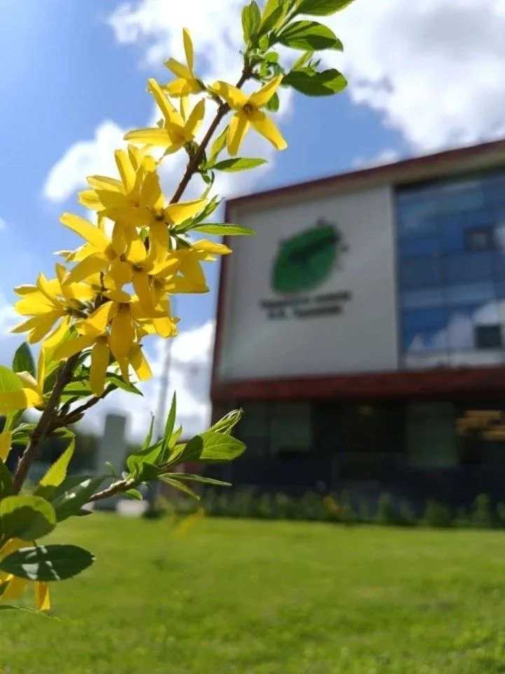 🌿💛 Майское настроение за окном  Весна окончательно и бесповоротно вступила в свои права на территори