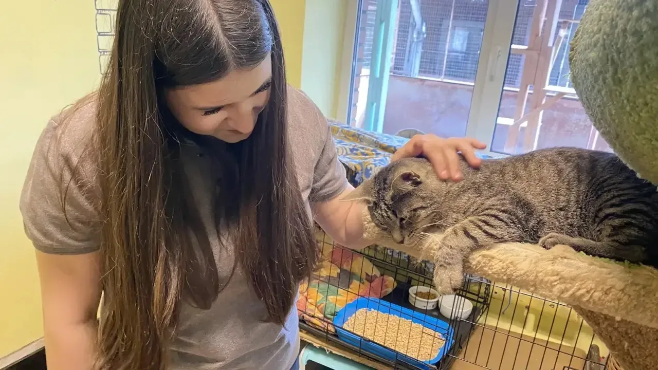 😻🐶В нашей школе  прошла акция по сбору корма для бездомных животных "Добрая акция !". Девиз акции: "