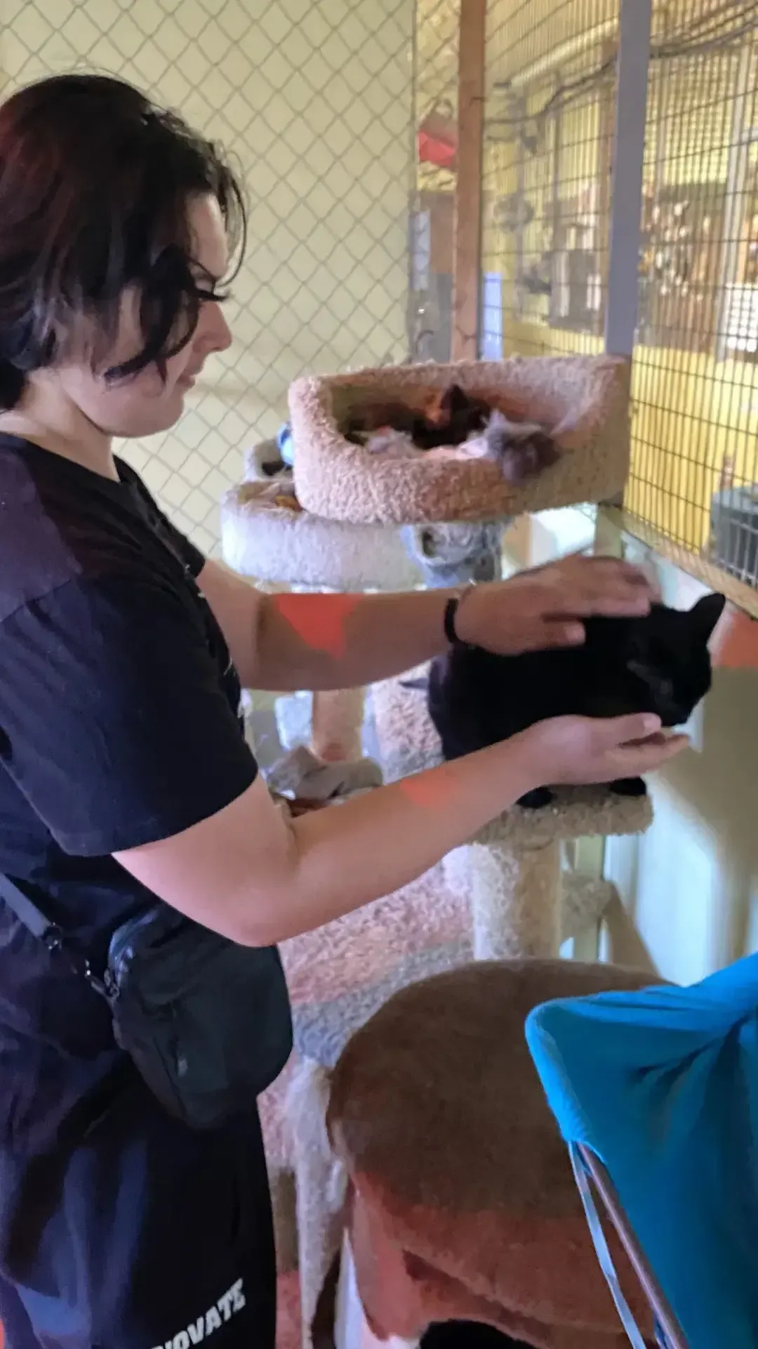 😻🐶В нашей школе  прошла акция по сбору корма для бездомных животных "Добрая акция !". Девиз акции: "