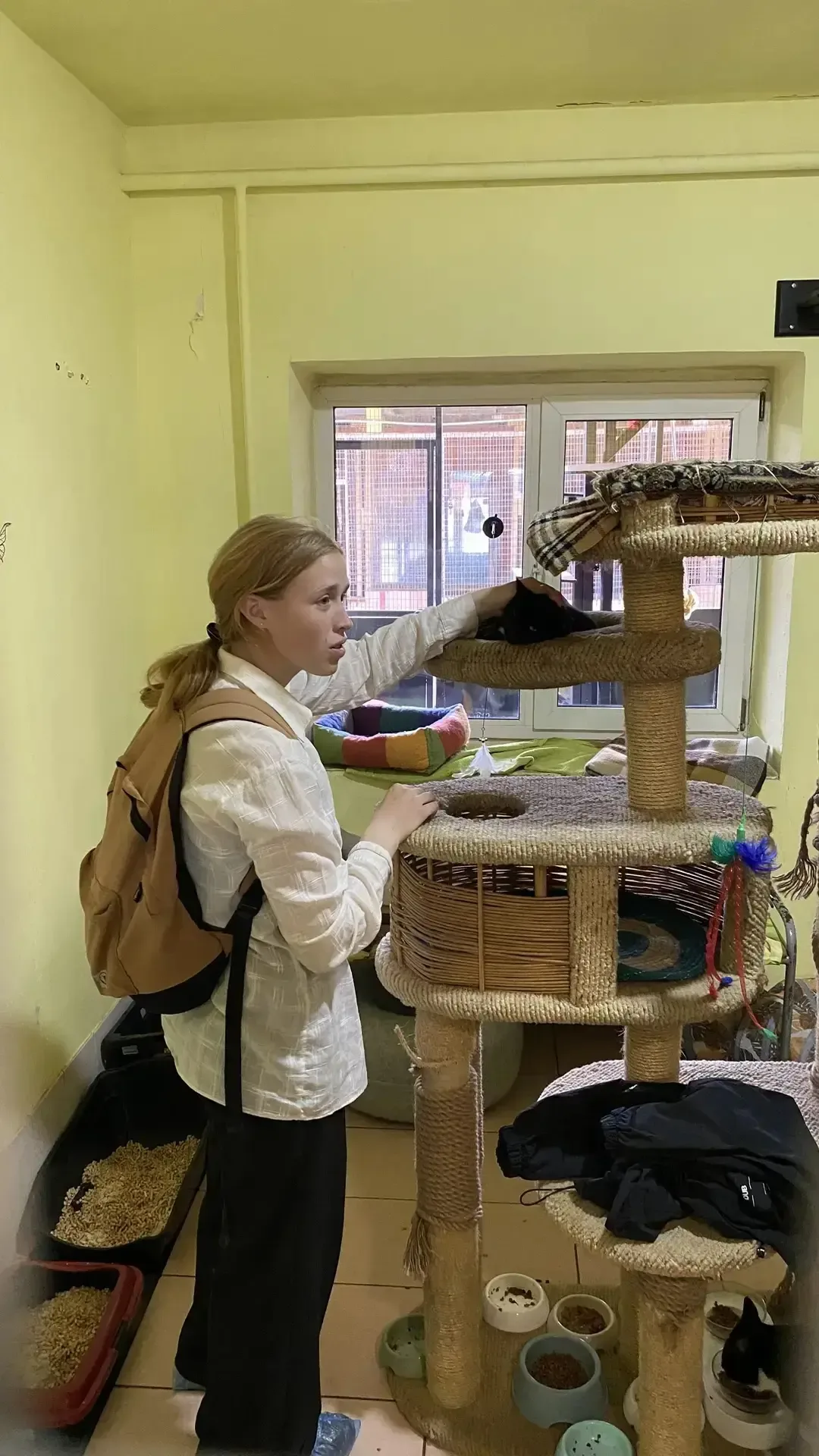 😻🐶В нашей школе  прошла акция по сбору корма для бездомных животных "Добрая акция !". Девиз акции: "