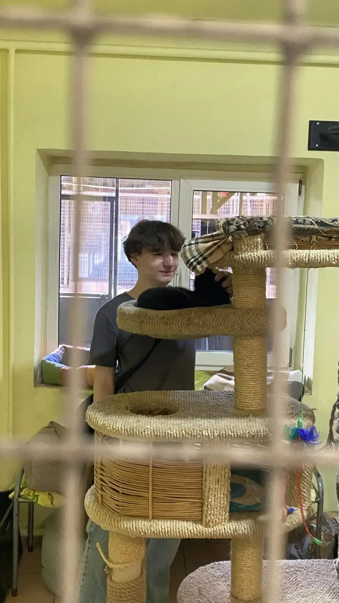 😻🐶В нашей школе  прошла акция по сбору корма для бездомных животных "Добрая акция !". Девиз акции: "