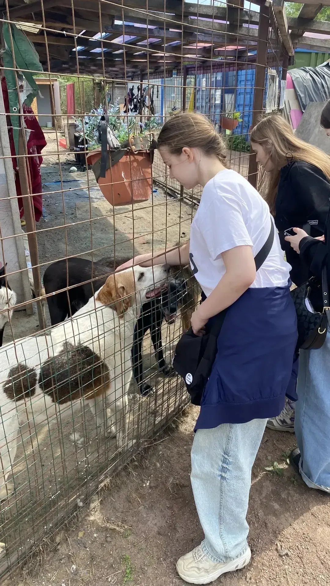 😻🐶В нашей школе  прошла акция по сбору корма для бездомных животных "Добрая акция !". Девиз акции: "