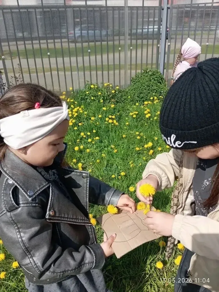 🌼 13 мая — День одуванчика 🌼 13 мая в группе 43 прошёл удивительный и очень тёплый праздник — День о