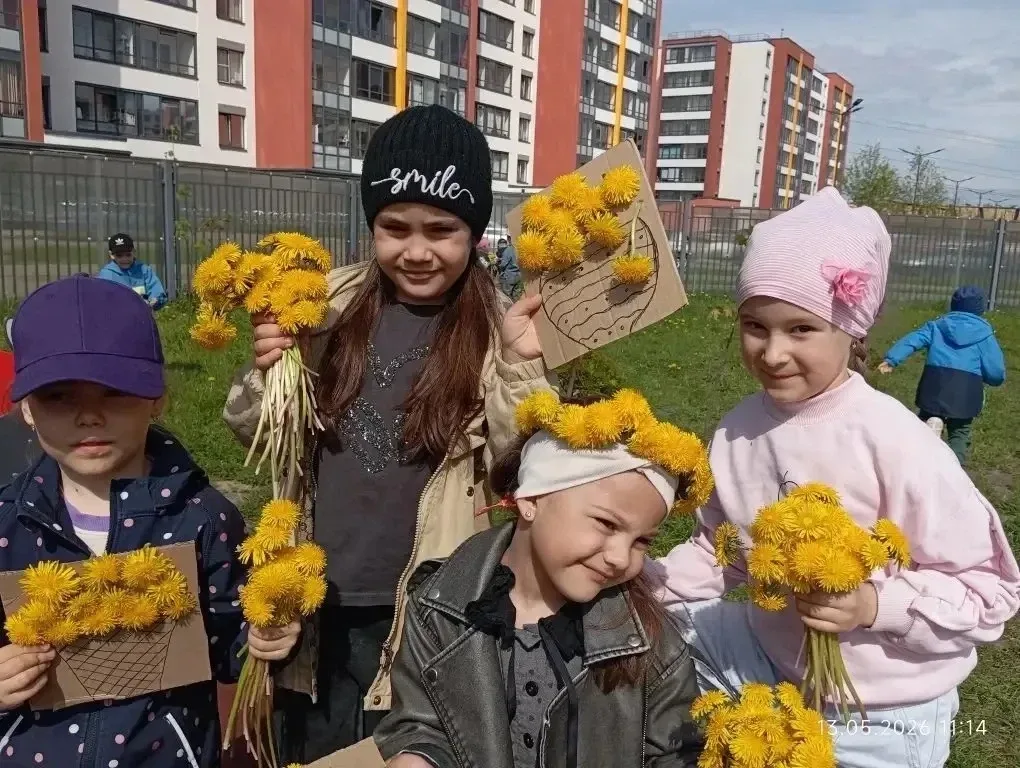 🌼 13 мая — День одуванчика 🌼 13 мая в группе 43 прошёл удивительный и очень тёплый праздник — День о