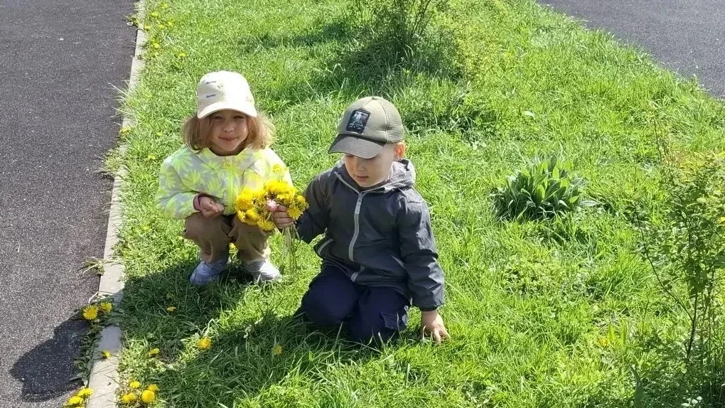 🌼Всемирный день одуванчика и солнечная прогулка!  13 мая, отмечается Всемирный день одуванчика — пра