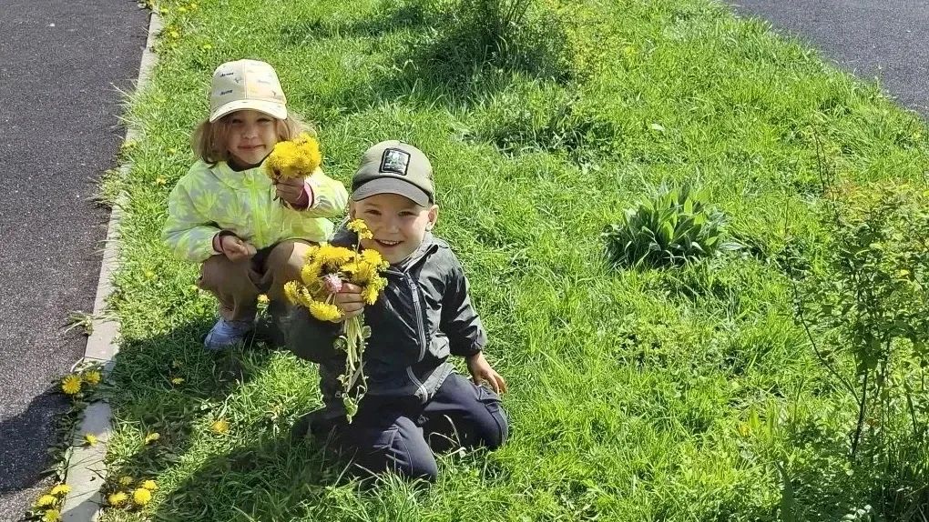🌼Всемирный день одуванчика и солнечная прогулка!  13 мая, отмечается Всемирный день одуванчика — пра