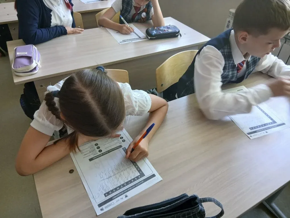 18 мая в нашей школе прошло внеурочное занятие для обучающихся 1-11 классов «Разговоры о важном» кот