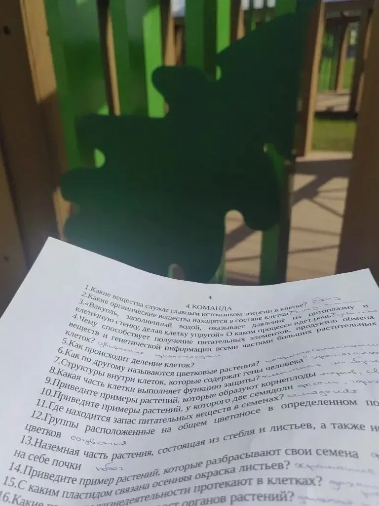 🌱 Уроки биологии в «зелёном классе»: встречаем весну вместе с природой! 🌱  Весна — самое волшебное в
