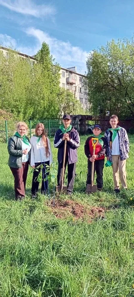 НОВОСТИ ШКОЛЬНОГО ЛЕСНИЧЕСТВА  В весенний период участники школьного лесничества "Лесное наследие" в