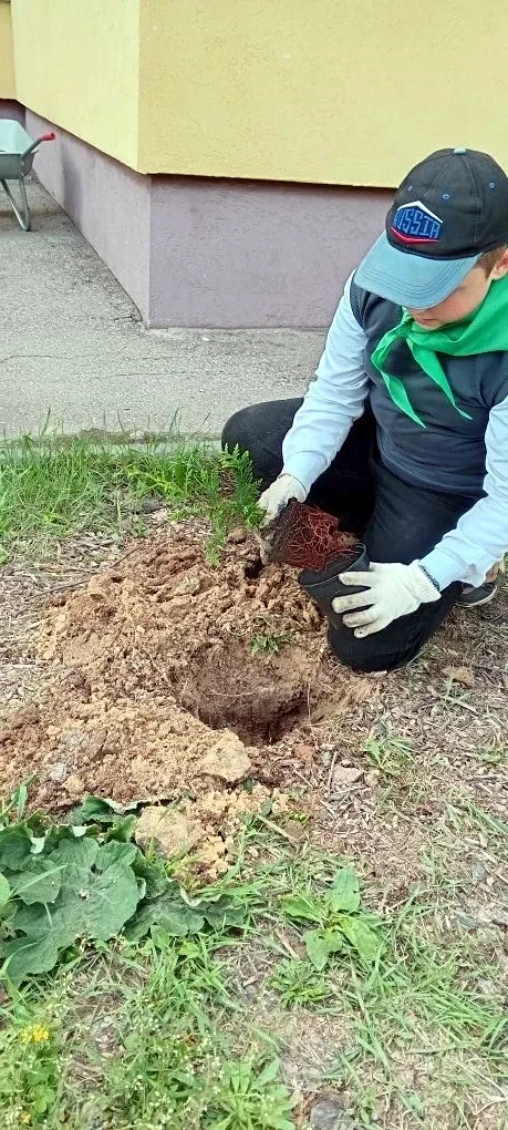 НОВОСТИ ШКОЛЬНОГО ЛЕСНИЧЕСТВА  В весенний период участники школьного лесничества "Лесное наследие" в